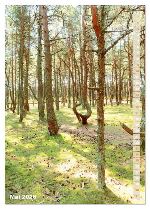 Kurische Nehrung – Am langen, weichen Ostsee-Strand (CALVENDO Wandkalender 2026)