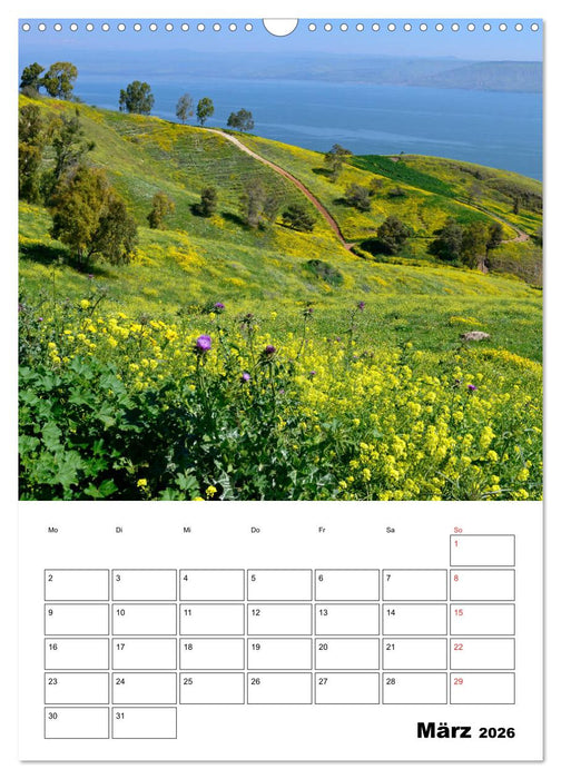 Israel - Der Monatsplaner 2026 (CALVENDO Wandkalender 2026)