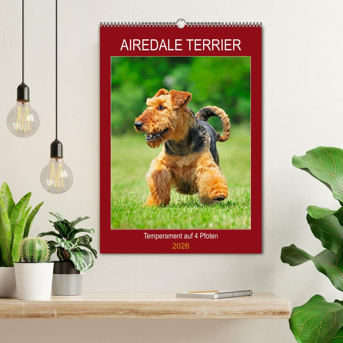 Airedale Terrier - Temperament auf 4 Pfoten (CALVENDO Wandkalender 2026)