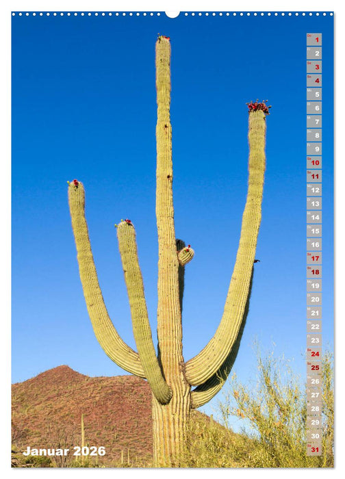 SAGUARO NATIONAL PARK Wüstenimpressionen aus Arizona (CALVENDO Premium Wandkalender 2026)