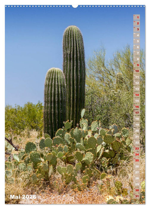 SAGUARO NATIONAL PARK Wüstenimpressionen aus Arizona (CALVENDO Premium Wandkalender 2026)