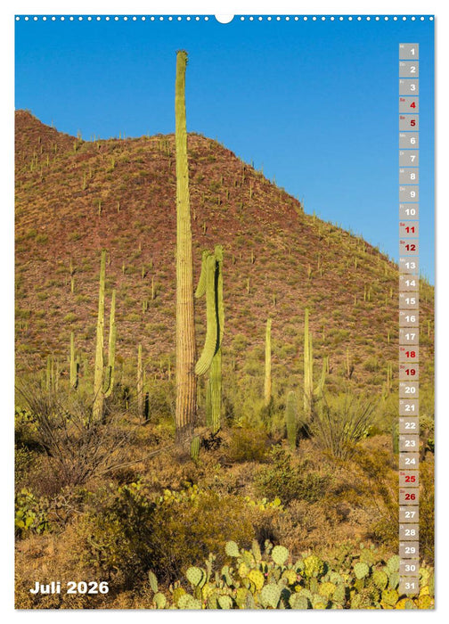 SAGUARO NATIONAL PARK Wüstenimpressionen aus Arizona (CALVENDO Premium Wandkalender 2026)