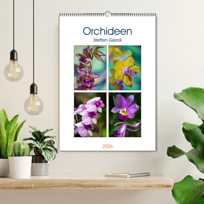 Orchideen (CALVENDO Wandkalender 2026)