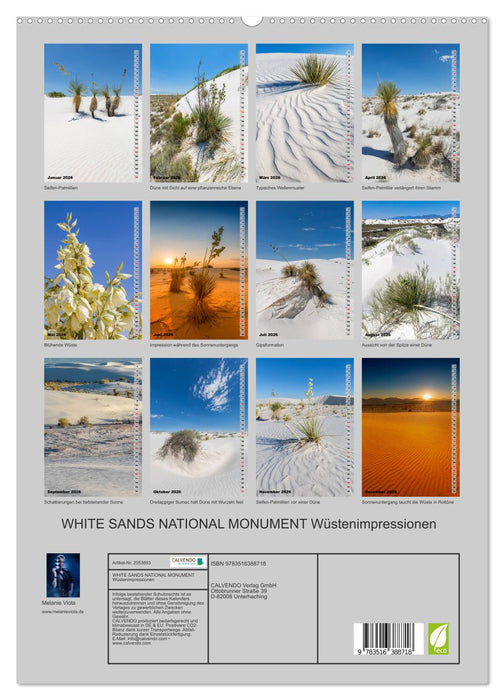 WHITE SANDS NATIONAL MONUMENT Wüstenimpressionen (CALVENDO Premium Wandkalender 2026)