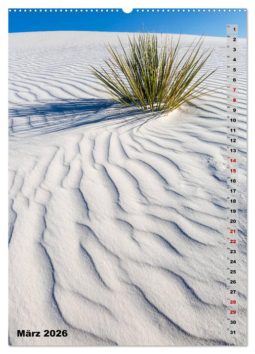 WHITE SANDS NATIONAL MONUMENT Wüstenimpressionen (CALVENDO Premium Wandkalender 2026)