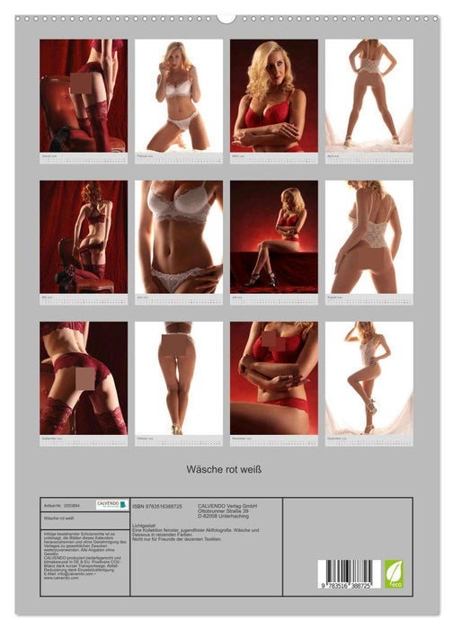 Wäsche rot weiß (CALVENDO Premium Wandkalender 2026)