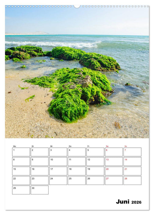 Boa Vista - die „Perle“ der Kapverden (CALVENDO Premium Wandkalender 2026)