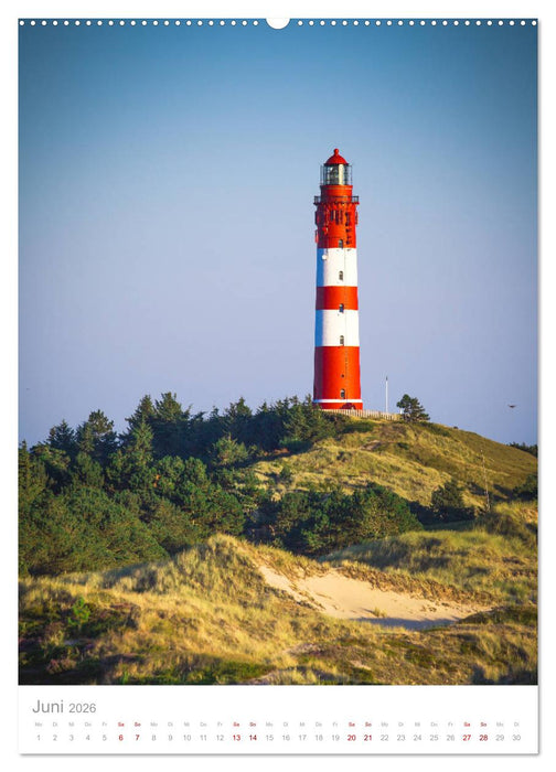 Amrum - Das Gesicht der Nordsee (CALVENDO Wandkalender 2026)