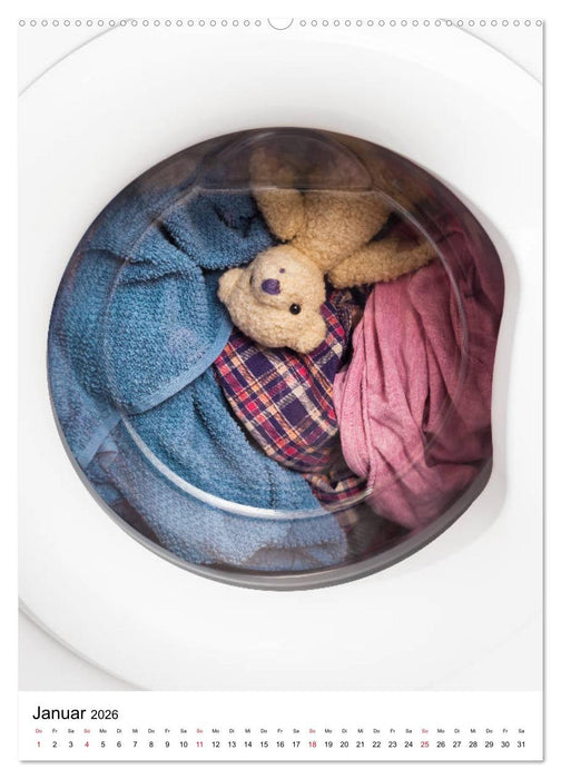 Teddybären Abenteuer - Zu Hause und Unterwegs (CALVENDO Premium Wandkalender 2026)
