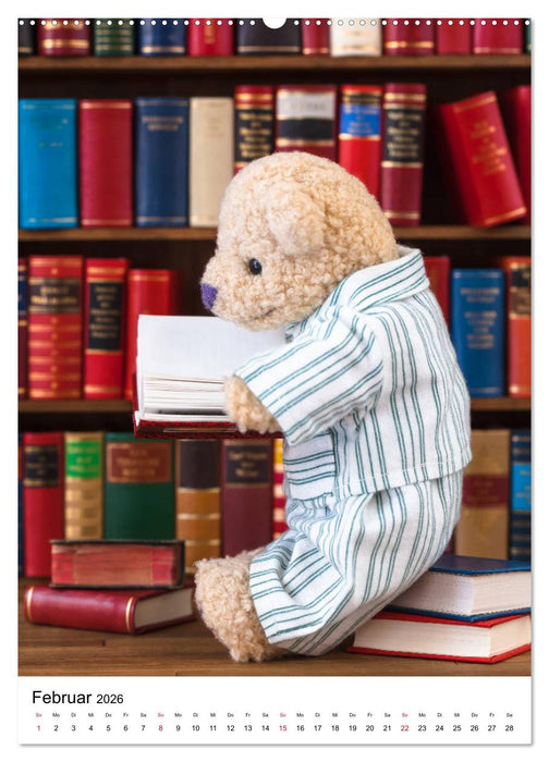 Teddybären Abenteuer - Zu Hause und Unterwegs (CALVENDO Premium Wandkalender 2026)