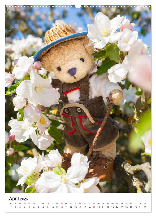 Teddybären Abenteuer - Zu Hause und Unterwegs (CALVENDO Premium Wandkalender 2026)