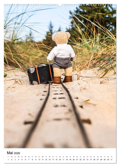 Teddybären Abenteuer - Zu Hause und Unterwegs (CALVENDO Premium Wandkalender 2026)