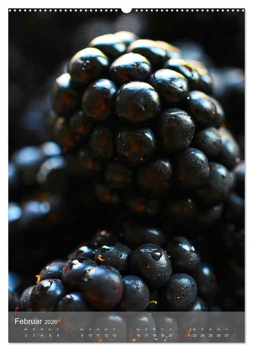 Blaubeeren, Himbeeren & Co - Makrofotografie in der Küche (CALVENDO Premium Wandkalender 2026)