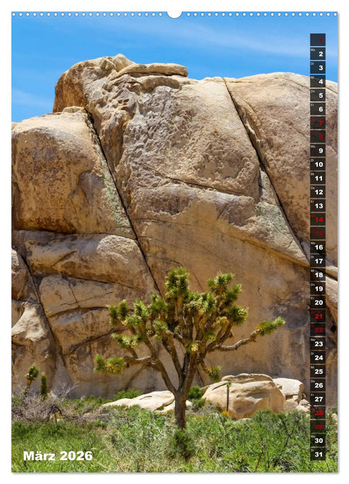 Impressionen aus dem JOSHUA TREE NATIONAL PARK (CALVENDO Wandkalender 2026)