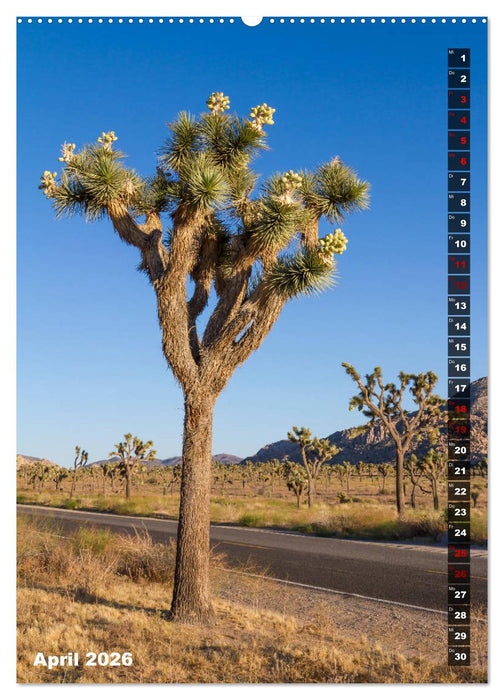 Impressionen aus dem JOSHUA TREE NATIONAL PARK (CALVENDO Wandkalender 2026)
