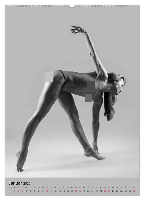 MS UNIVERSE (CALVENDO Premium Wandkalender 2026)