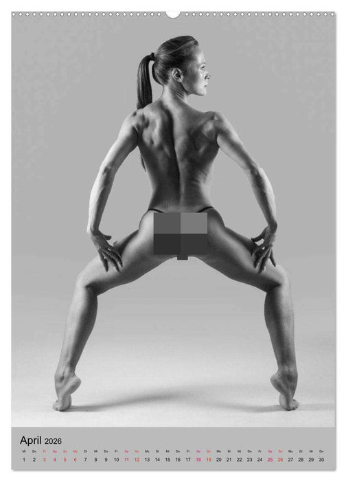 MS UNIVERSE (CALVENDO Premium Wandkalender 2026)