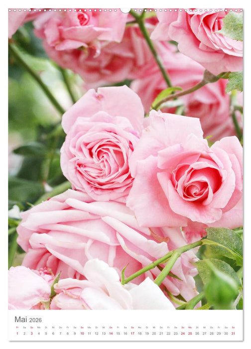 Glücklich mit Rosen (CALVENDO Premium Wandkalender 2026)