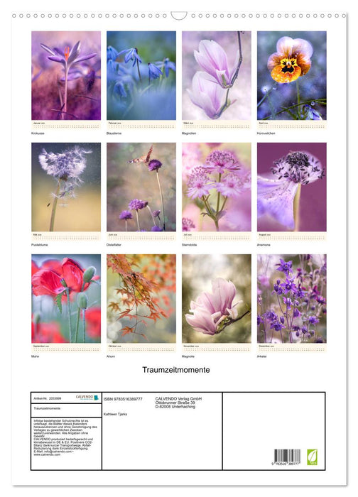 Traumzeitmomente (CALVENDO Wandkalender 2026)