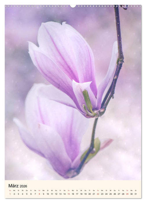 Traumzeitmomente (CALVENDO Wandkalender 2026)