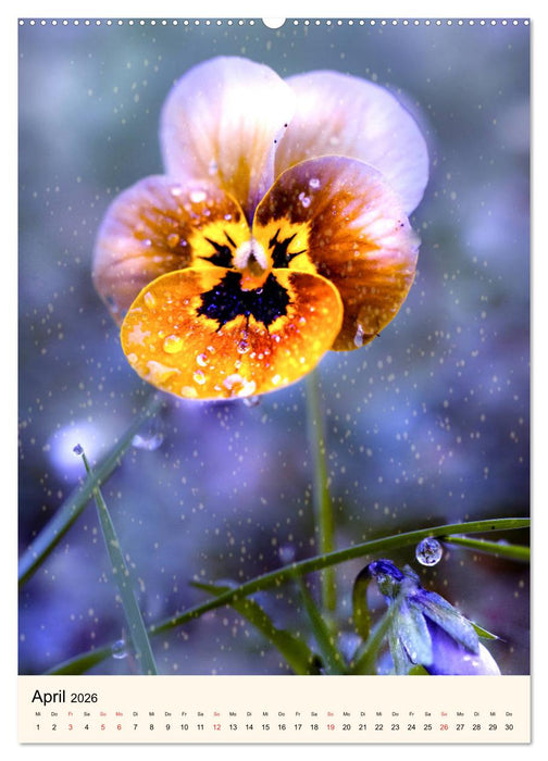 Traumzeitmomente (CALVENDO Wandkalender 2026)