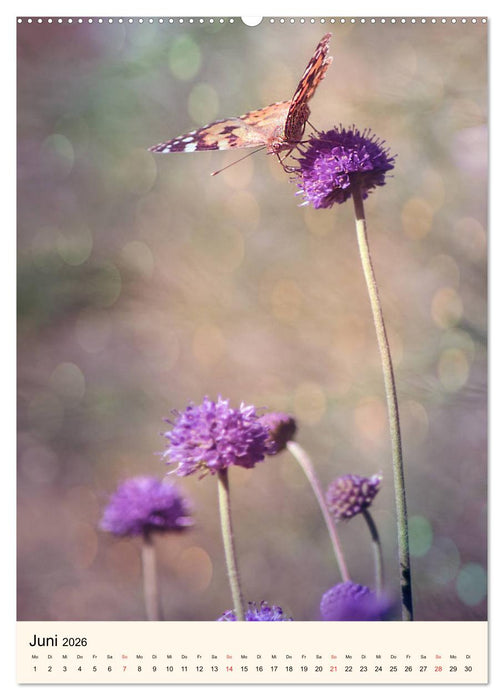 Traumzeitmomente (CALVENDO Wandkalender 2026)