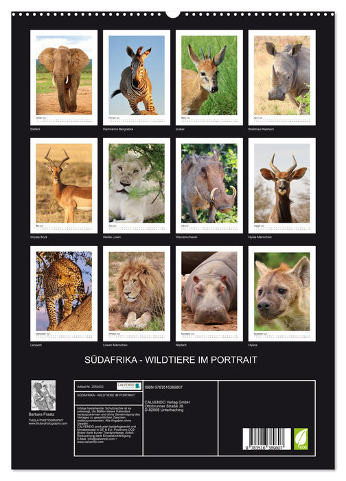 SÜDAFRIKA - WILDTIERE IM PORTRAIT (CALVENDO Premium Wandkalender 2026)