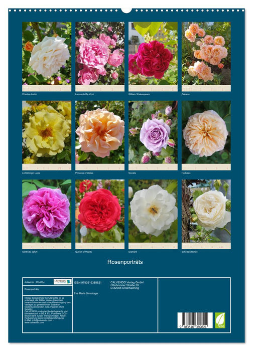 Rosenporträts (CALVENDO Premium Wandkalender 2026)