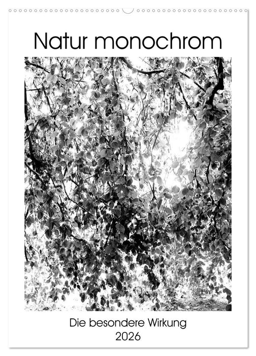 Natur monochrom Die besondere Wirkung (CALVENDO Wandkalender 2026)