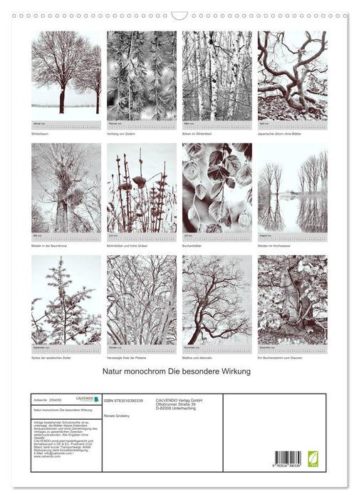 Natur monochrom Die besondere Wirkung (CALVENDO Wandkalender 2026)