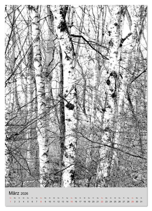 Natur monochrom Die besondere Wirkung (CALVENDO Wandkalender 2026)