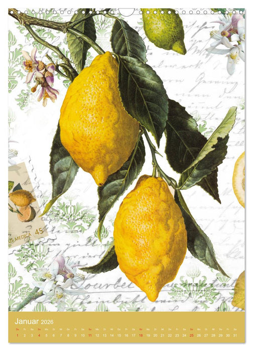 Vintagekunst Collagen (CALVENDO Wandkalender 2026)