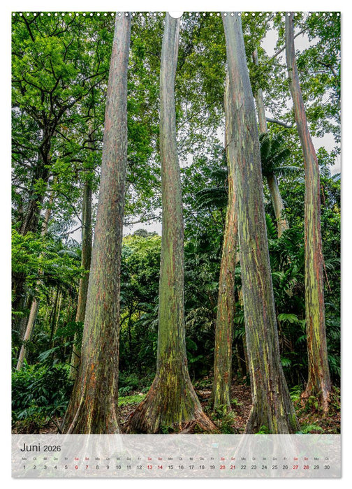 Willkommen in Hawai'i (CALVENDO Wandkalender 2026)