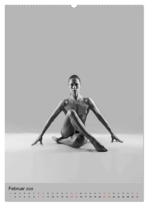 MS UNIVERSE (CALVENDO Wandkalender 2026)