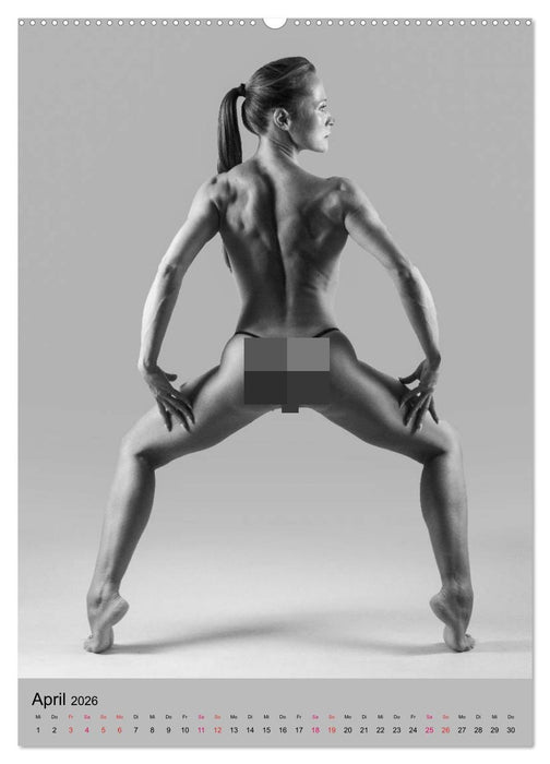 MS UNIVERSE (CALVENDO Wandkalender 2026)