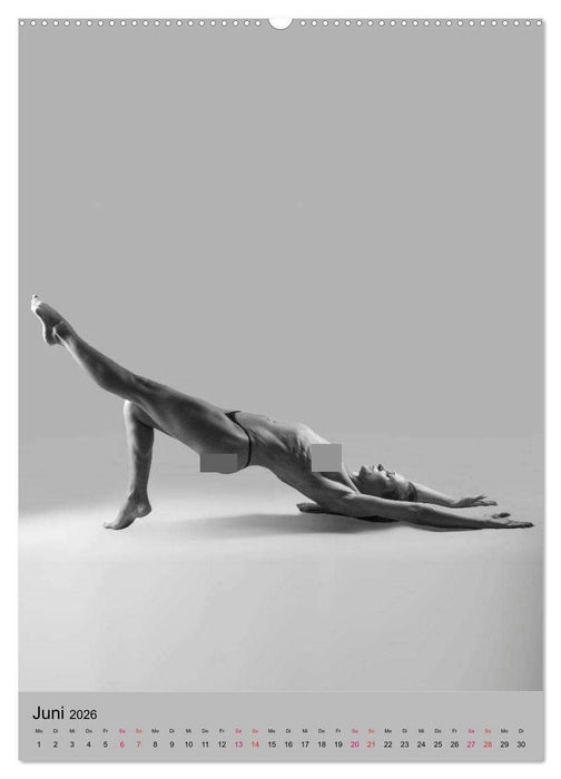 MS UNIVERSE (CALVENDO Wandkalender 2026)