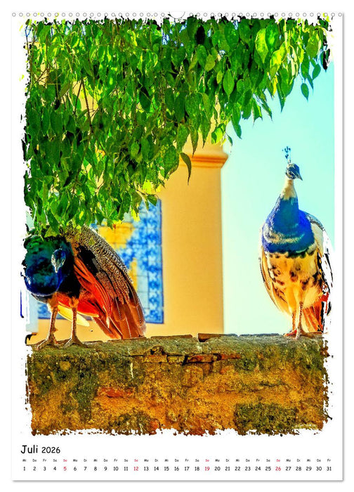 Lissabons Altstadt (CALVENDO Premium Wandkalender 2026)