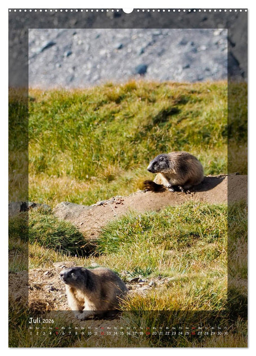 Bergwelten Wandkalender (CALVENDO Premium Wandkalender 2026)