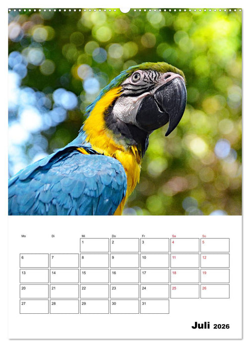 Karibik pur - mit Charme und Zauber (CALVENDO Premium Wandkalender 2026)