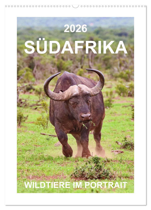 SÜDAFRIKA - WILDTIERE IM PORTRAIT (CALVENDO Wandkalender 2026)
