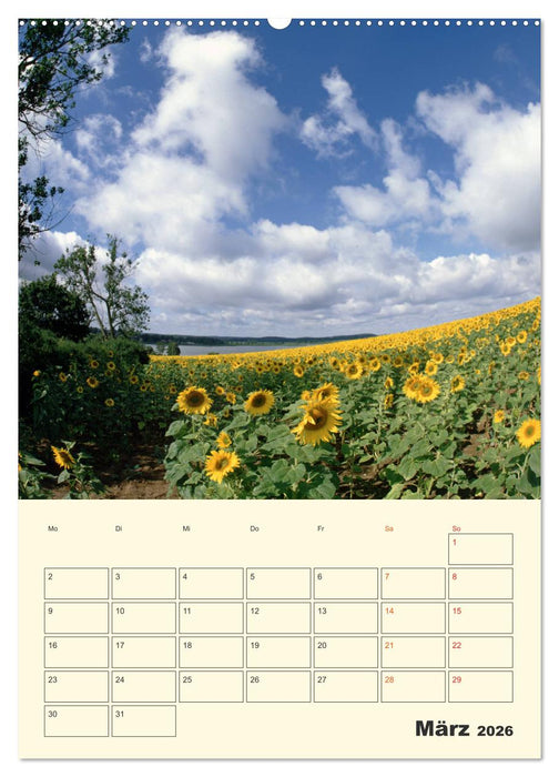 Usedom (CALVENDO Premium Wandkalender 2026)