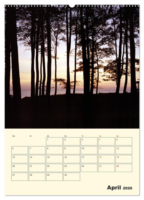 Usedom (CALVENDO Premium Wandkalender 2026)