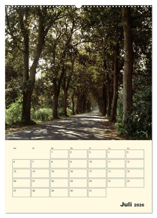 Usedom (CALVENDO Premium Wandkalender 2026)