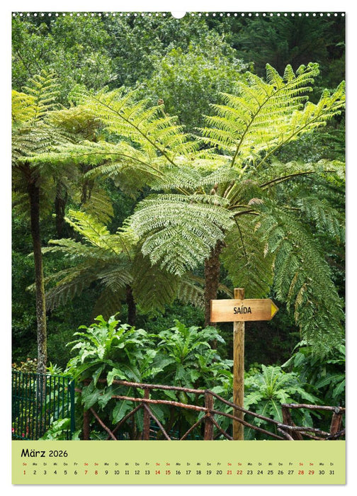 Madeira - wiederentdeckt (CALVENDO Premium Wandkalender 2026)