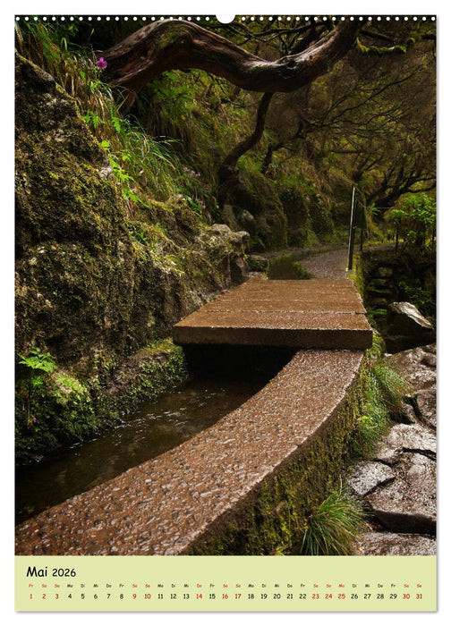 Madeira - wiederentdeckt (CALVENDO Premium Wandkalender 2026)
