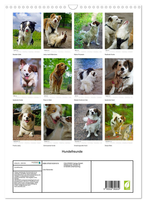 Hundefreunde (CALVENDO Wandkalender 2026)