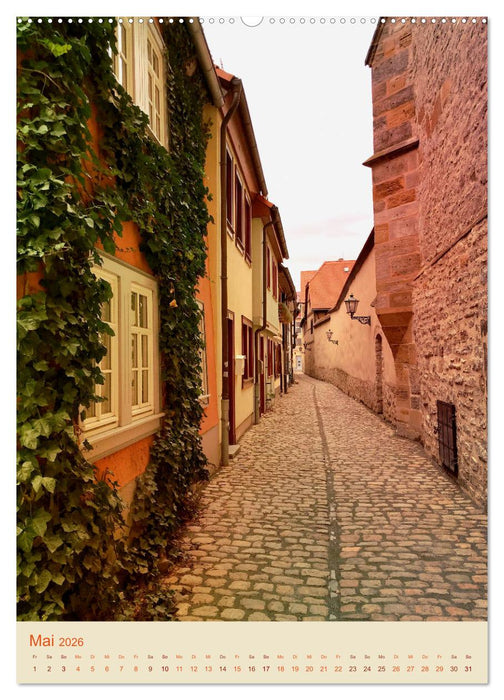 ERFURT total cool (CALVENDO Wandkalender 2026)