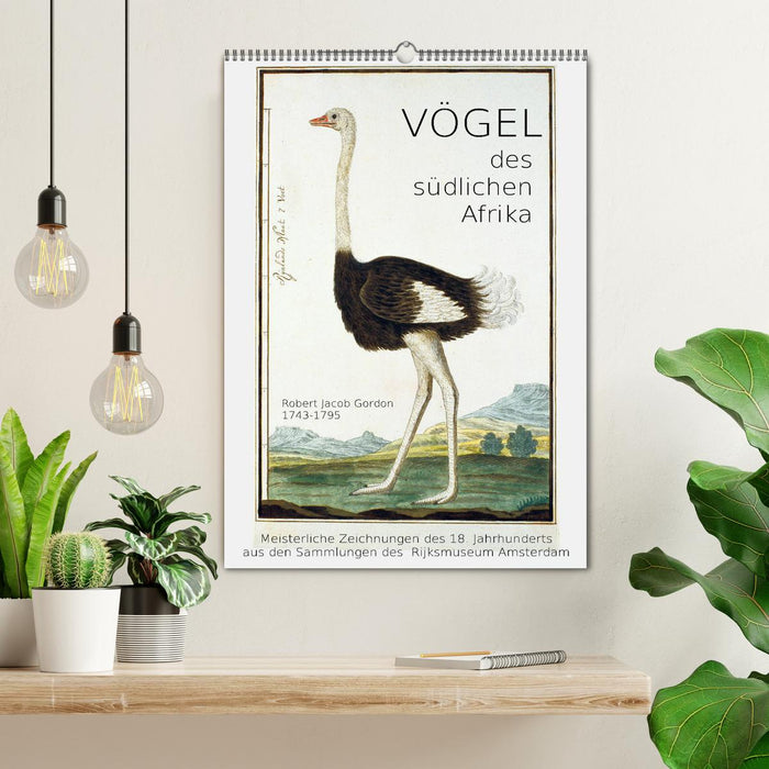 Vögel des südlichen Afrika (CALVENDO Wandkalender 2026)