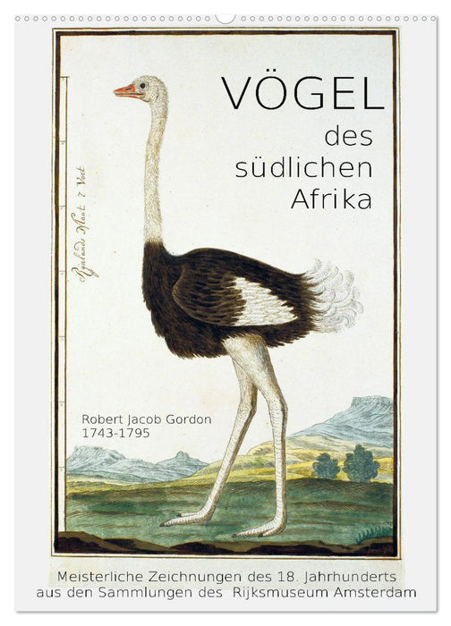 Vögel des südlichen Afrika (CALVENDO Wandkalender 2026)