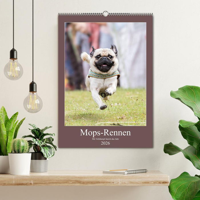 Mops-Rennen (CALVENDO Wandkalender 2026)